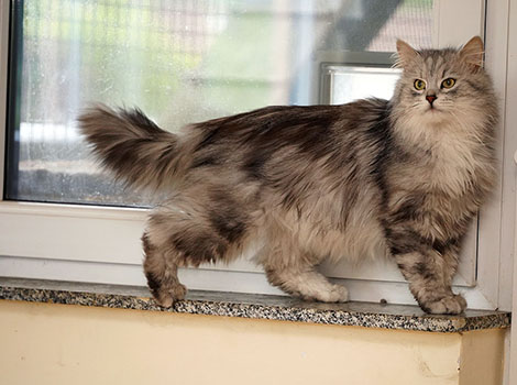 Karlo am 29. Mai 2025